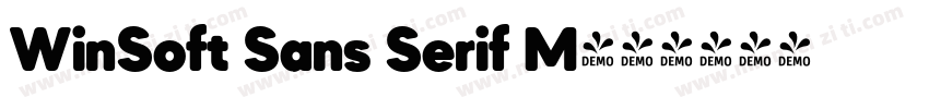 WinSoft Sans Serif M字体转换